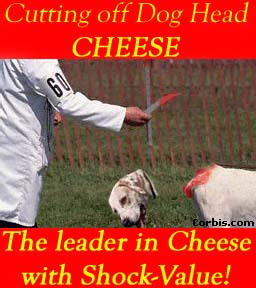 dogheadcheese2.jpg